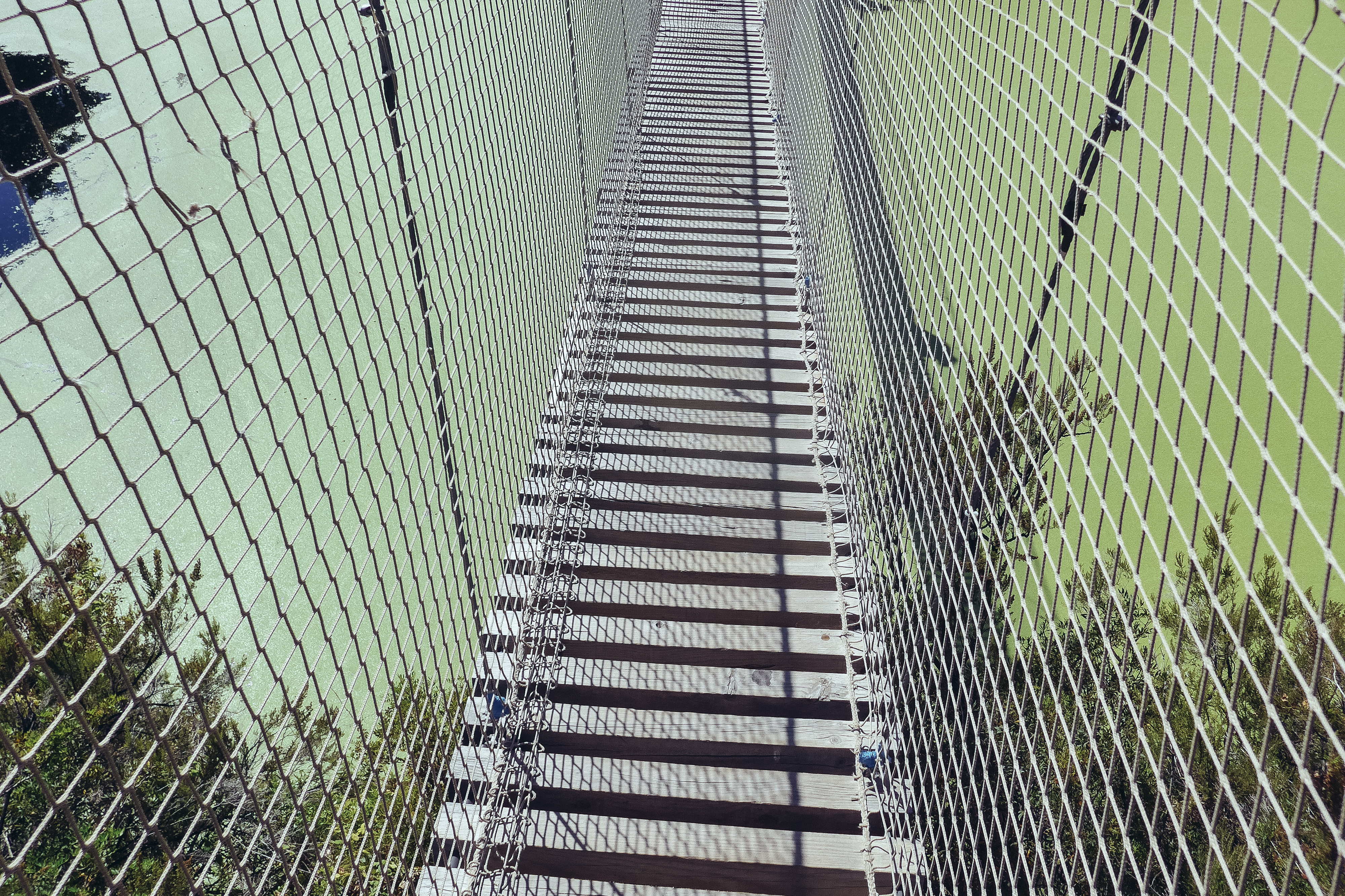 Cable Handrails
